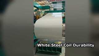 PPGI white finish steel coil corrosion resistance